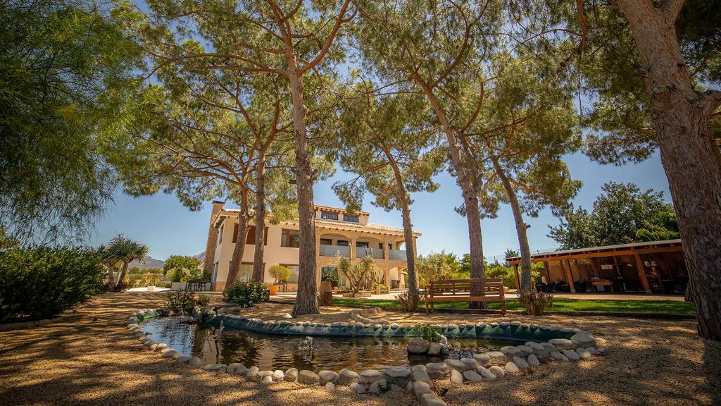 De vijver tussen palmen en pijnbomen